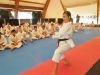 z-karate-l011, z_karate_l011