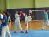 z-karate-l033, z_karate_l033