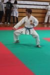 z-karate10
