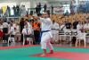 z-karate15