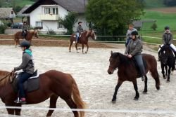 Test konj v Selcah pri Dobrniču