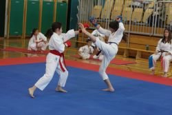 Karate klub Obzorje Brežice dobil tudi klubske prvake v borbah za šol.l.2013/14