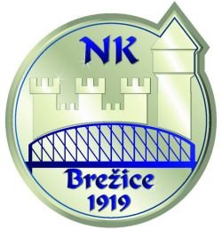 Prvo pripravljalno srečanje članskega moštva NK Brežice 1919