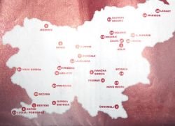 Anonimni alkoholiki v Sloveniji delujejo v 27 skupinah, tudi v Črnomlju, Novem mestu, Sevnici, Trebnjem in Ivančni Gorici.