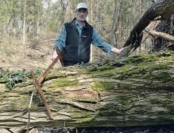 Dragu Plutu je letošnja zima naredila v gozdu kar nekaj škode. Med drugim mu je porušila tudi zelo debelo akacijo, ki je imela meter od tal premer debla 77 centimetrov, na 11  metrih višine pa še vedno 58 centimetrov. (Foto: M. B.-J.)
