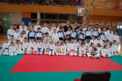Lisička Open 2014 - regijski karate turnir