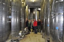 FOTO: Vinogradniški izlet v Goriška Brda in dolino Soče