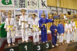 Novomeški judoisti osvojili sedem medalj na mednarodnem pokalu 
