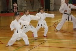 Karate klub Obzorje Brežice izpeljal medletno polaganje za višje pasove