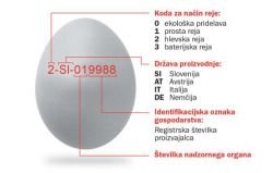 Iz oznak na jajcih izvemo veliko informacij.