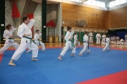 Zaključna poletna akademija brežiških karateistov