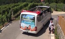 VIDEO: Panoramske vožnje s Cabrio busom