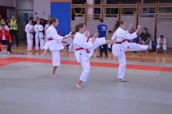 FOTO: 15. tradicionalni karate turnir Sevnica open 2015 
