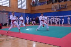 FOTO: 15. tradicionalni karate turnir Sevnica open 2015 