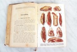 Knjiga iz leta 1903 vsebuje številne recepte, med drugim tudi, kako se pripravi telečje možgane, možgane v majonezi, ocvrte možgane, možgane v školjkah, možganske klobasice idr. Na nekaterih straneh najdemo tudi kar nekaj slik.