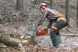 Delo v gozdu je eno najzahtevnejših in najbolj nevarnih opravil, zato se  ga brez usposobljenosti in primerne zaščitne opreme ne gre lotiti,  zahtevnejšo sečnjo pa je najbolje zaupati poklicnim gozdnim delavcem.  (Foto: I. Vidmar)