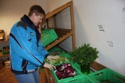Slovenska zelenjava mora v težkih pogojih konkurirati tuji.