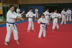 Akademija Karate kluba Brežice ob zaključku šolskega leta