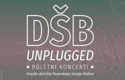 DŠBunplugged: Poletni koncerti 2016 