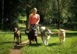 Simona Potočar in njen partner Jernej Agrež imata štiri reševalne pse, na fotografiji so Simona, Tequila, Howth, Šon in Oto. (Foto: osebni arhiv)