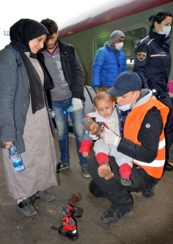 Kot prostovoljka je pol leta delala z begunci, fotografija je nastala na železniški postaji v Dobovi. (Foto: Franc Šavrič)