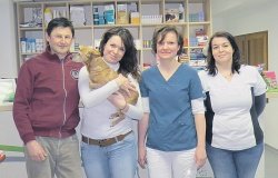 Veterinarji iz nove črnomaljske veterinarske ambulante (Foto: M. B.-J.)