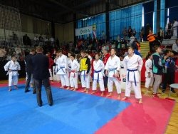 Dolenjski karateisti na Ljubljana Open 2017 