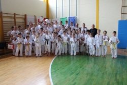 13 medalj za Krkine karateiste na otroški tekmi v Krškem
