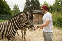 Klemen Bunderla je v živalskem vrtu hranil zebre: »Kakšna lepa, rahlo hipnotična izkušnja!«