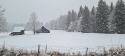 Planica včeraj v snegu in megli (Foto: Z.Meglič)