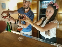 FOTO: Petkovi večeri na Semiškem placu - koktejli z rozejem in ginom