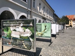 Na Glavnem trgu v Novem mestu fotografska razstava Tehniškega muzeja Slovenije