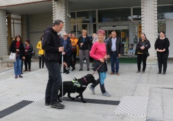 Prikaz vodenja slepih s psi vodniki na poligonu iz taktilnih oznak