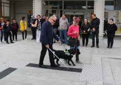 Prikaz vodenja slepih s psi vodniki na poligonu iz taktilnih oznak