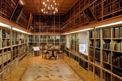 Knjižnica frančiškanskega samostana, Novo mesto