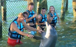Za nagrado si je njegova skupina prislužila plavanje z delfini, morskimi psi in skati. (Foto: Planet TV)
