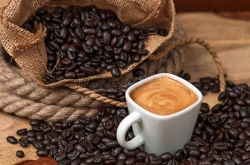 Ameriški standardi dovoljujejo, da kavna zrna vsebujejo kar 10 odstotkov 'umazanije in žuželk'. (Foto: Dreamstime)