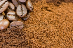 Varnejša izbira je kava v zrnih, sploh če ste alergični na ščurke. (Foto: Dreamstime)