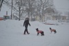 V snegu so uživali tudi psi