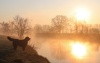 Megleno jutro ob reki Krki (foto: Mojca Golob)