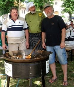 Ob tenstanju krompirja v Žužemberku tudi o podvigu v Brežicah ... (foto: Panonika harmonika)