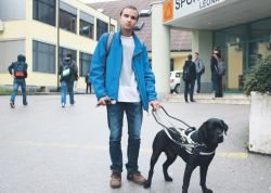 Miha Srebrnjak in njegov pes vodnik Dante sta bila na zacetku šolskega leta prava atrakcija Šolskega centra Novo mesto.
