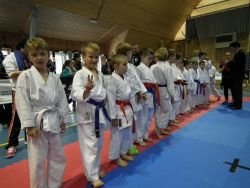KBV Sevnica in Mednarodni karate turnir Bohinj open 2016