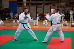 17. Tradicionalni karate turnir Tanin open 2017 - 21 medalj za KBV Sevnica