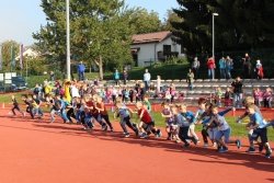 Učenci OŠ Jurija Dalmatina Krško na festivalu športa »Športofešta«