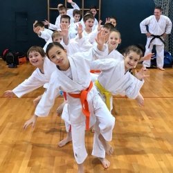 Karateistom KBV Sevnica na 1. pokalni tekmi JKA v Sežani sedem medalj 