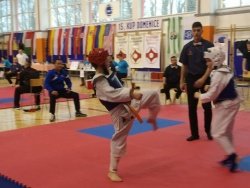 Sevničani na Mednarodnem karate turnirju polnega kontakta