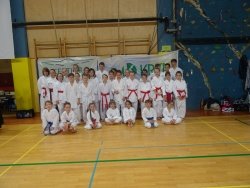Dolenjski in belokranjski karateisti na Kimon Open 2018