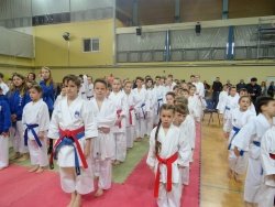 Dolenjski in belokranjski karateisti na Kimon Open 2018