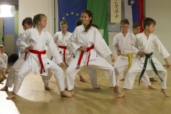 Mladi  karateisti, ki vadijo v različnih Yuki karate sekcijah v Posavju,  so se srečali v treh kolih, najprej na  »KRŠKO OPEN«, nato v OŠ Brežicah in nato še na Čatežu!